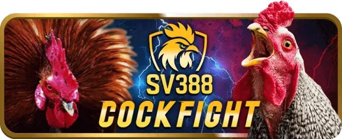 Sự kiện đặc biệt và giải đấu 98win5 Win